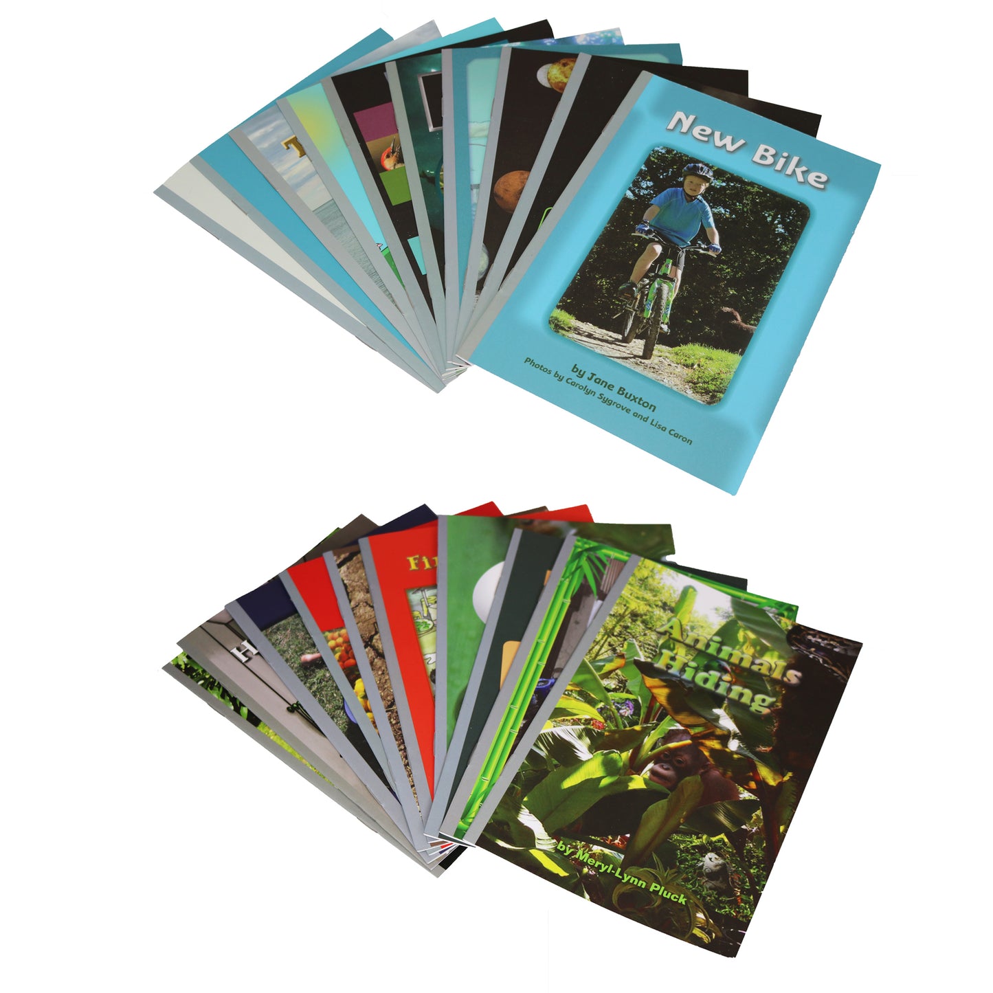 20-Book Set & Activities: SILVER SERIES